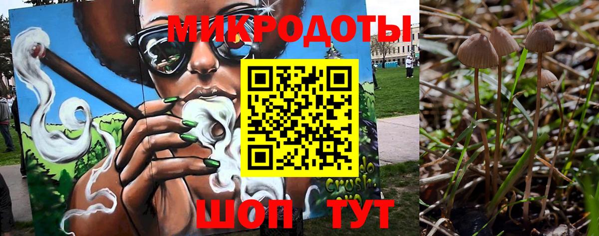Галлюциногенные грибы мицелий Бугульма